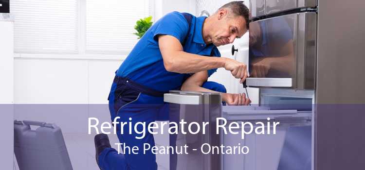 Refrigerator Repair The Peanut - Ontario