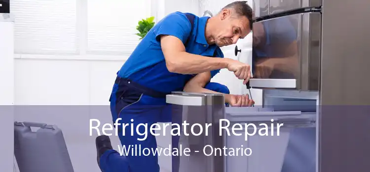 Refrigerator Repair Willowdale - Ontario