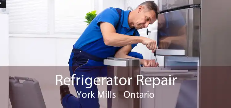 Refrigerator Repair York Mills - Ontario