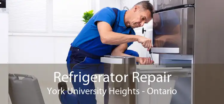 Refrigerator Repair York University Heights - Ontario