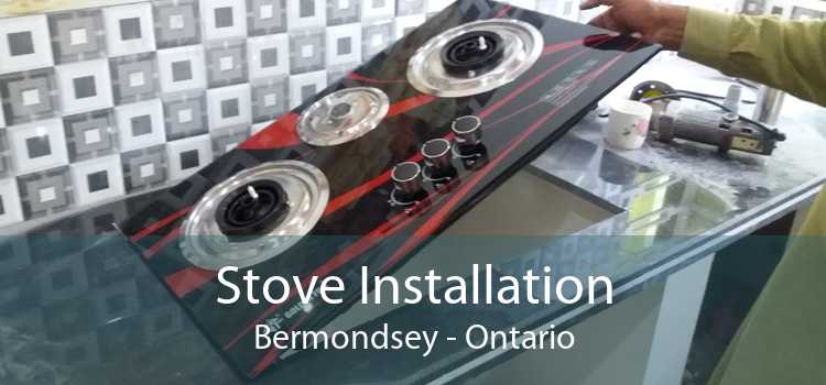 Stove Installation Bermondsey - Ontario