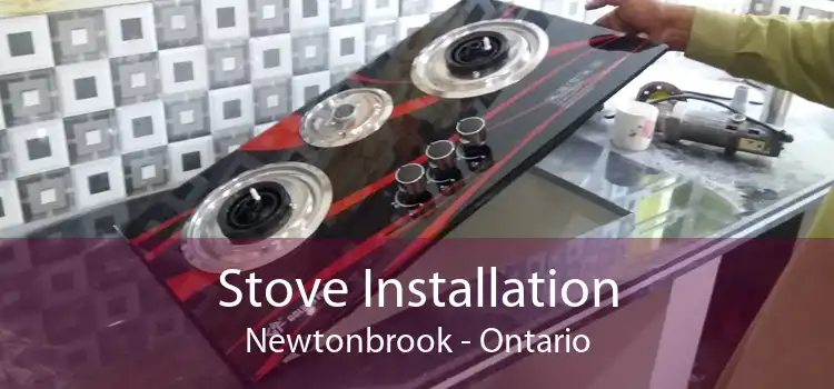 Stove Installation Newtonbrook - Ontario