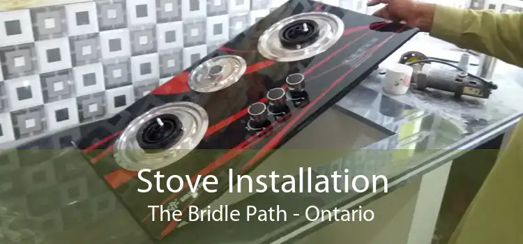 Stove Installation The Bridle Path - Ontario