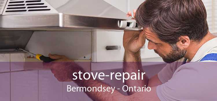 stove-repair Bermondsey - Ontario