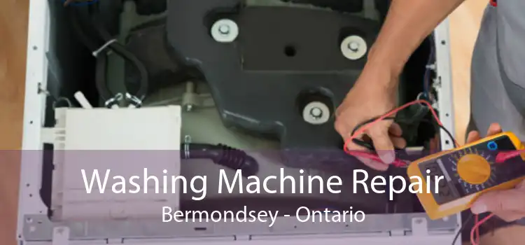 Washing Machine Repair Bermondsey - Ontario