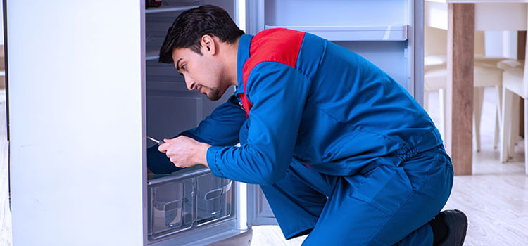 Freezer Repair Services in Steeles
